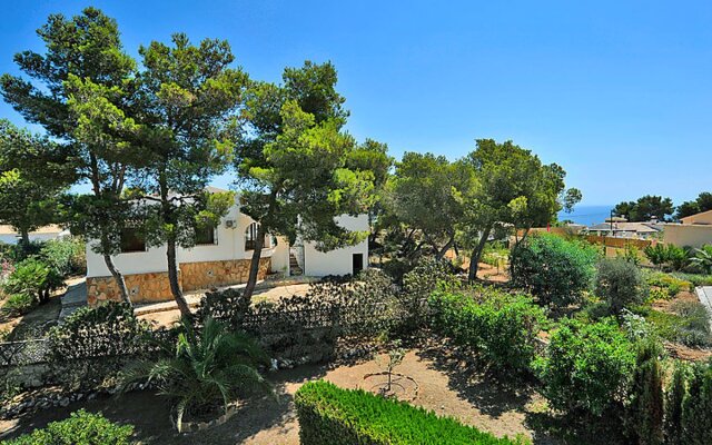 House Wolf Javea