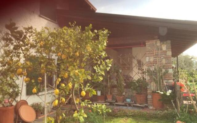 Una Casa tra gli Olivi