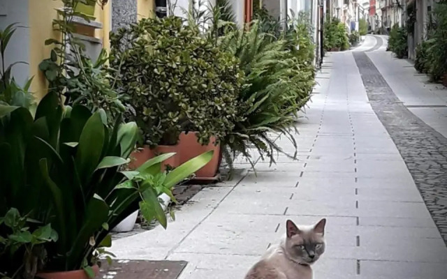 Via San Giacomo 10