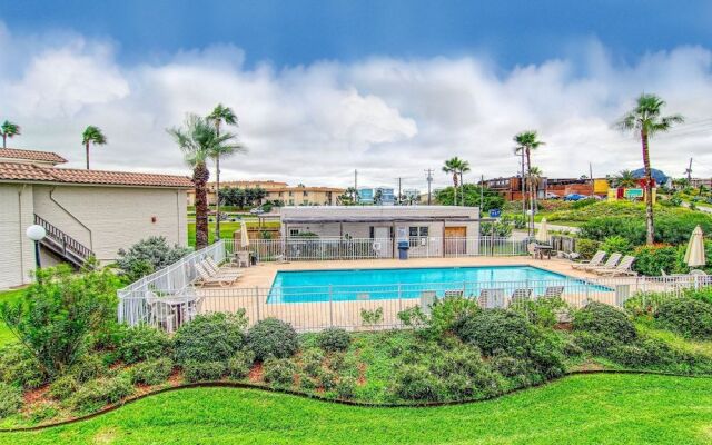 Pearl Marlin 205 by RedAwning