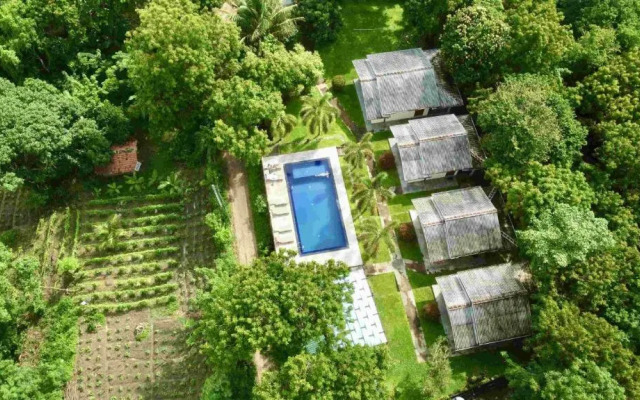 Jungle Paradise Hotel