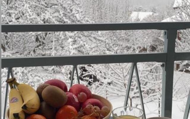 Bel appartement 8 personnes à Saint Chaffrey