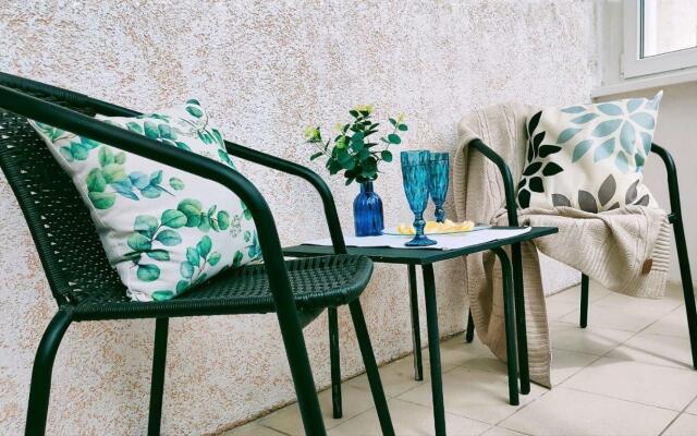 Солнечный эвкалипт на улице Крылова