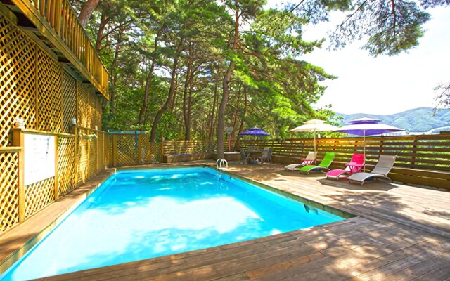 Hoengseong Forest Green Wall Pensiion