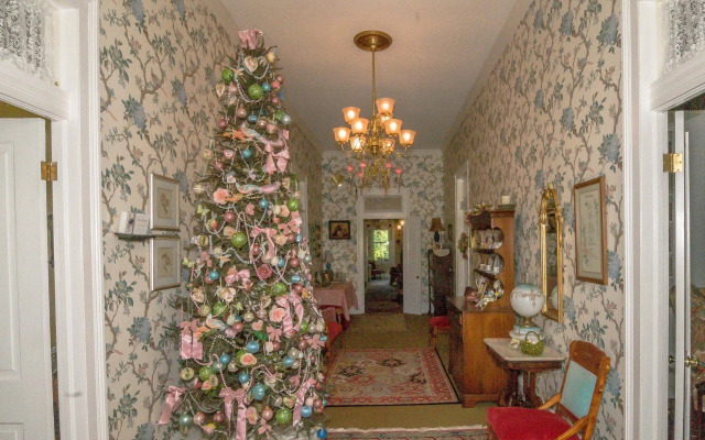 Holly House of Hamilton