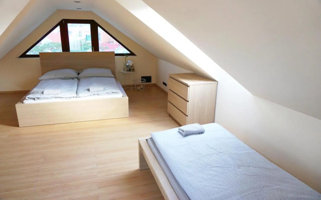 Rooftop Deluxe apartment