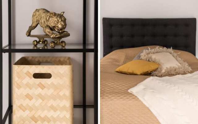 Magnificent And Modern Decorated Villa