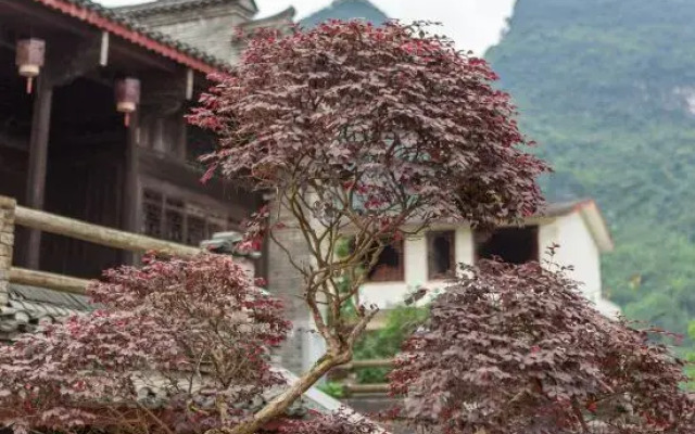 Yulong Yard (Yangshuo Yulong River Scenic Area)