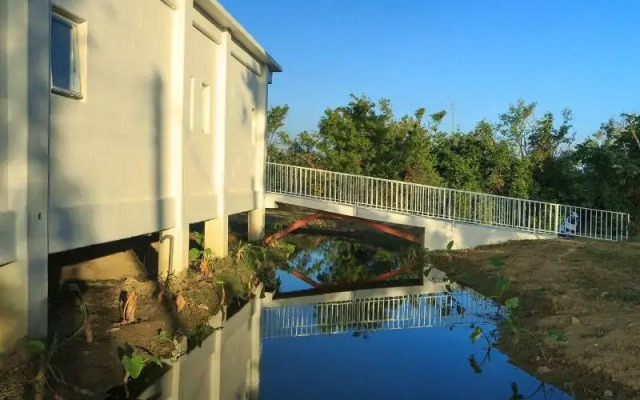 Wild Island B&B