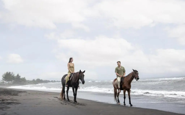 Swan Paradise A Pramana Experience