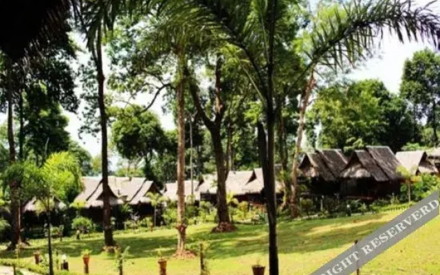 Tarzan Island Bungalow