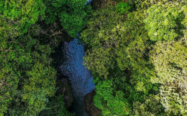 Ventanas en Corcovado