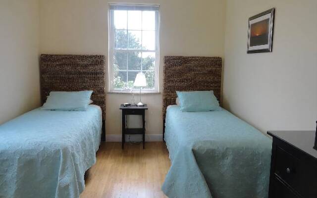 Sand Dollar by RedAwning