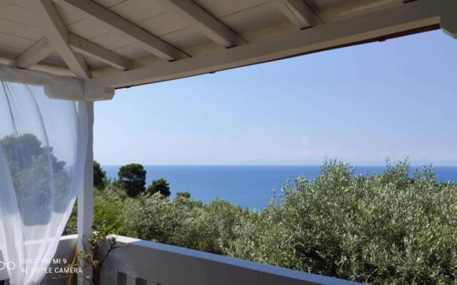 Elia house 1 astoning sea view among the olive trees