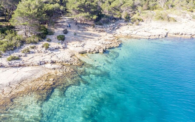 Apartments Vila Jelka