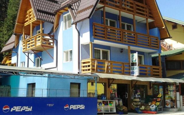 Hostel Voineasa