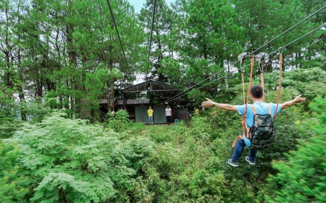 ZYJ Treehouse Land Huangshan Qiyun