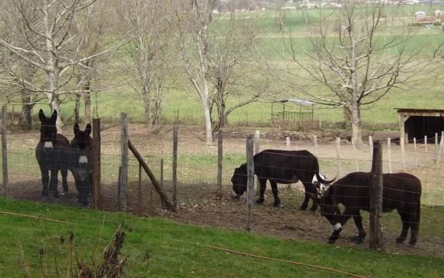 Chambres D'hôtes De Charme La Gabarie