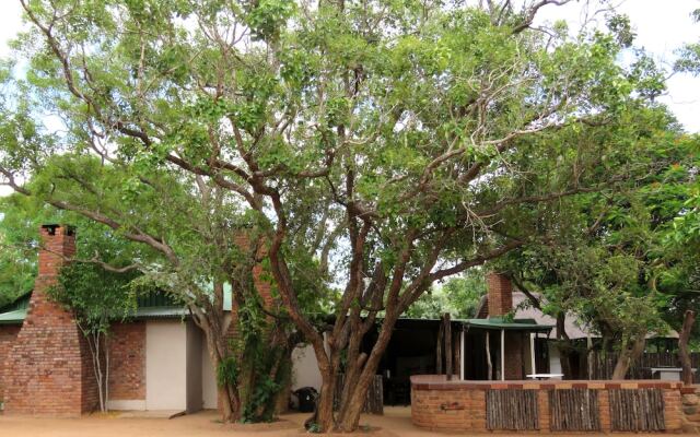 Wild Dogs Safari Lodge
