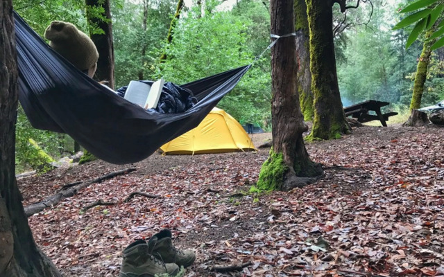 Singalong Nature Camphill Site