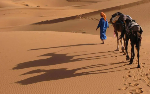 Camels House