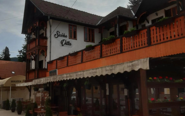 Vila Szoke Sovata