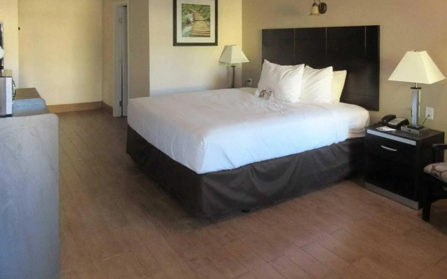 Quality Inn & Suites near Downtown Bakersfield