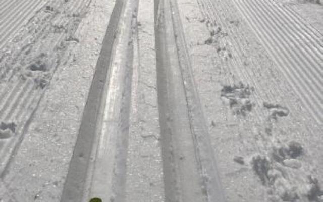 Ferienwohnung mit Sicht auf die Berge (Nähe Flims/Laax)