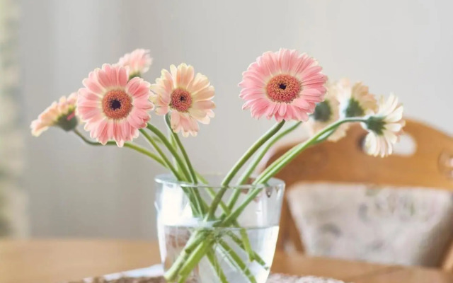 Lovely, Best View Apartment, Vilnius City Centre