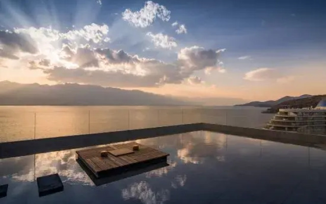 Dali Verdant Whisper·Stone Hill Seaview Inn