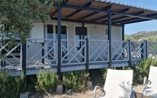 Camp Kopito