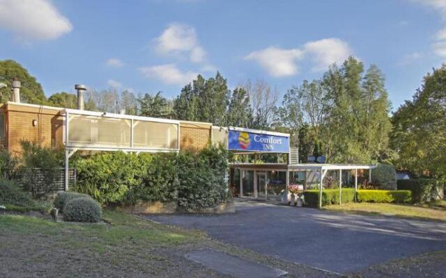 Comfort Inn Moe