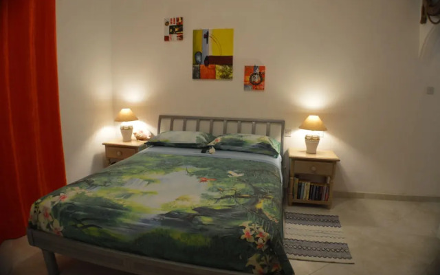 Tropical Gecko Studio