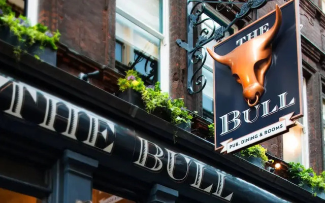 The Bull