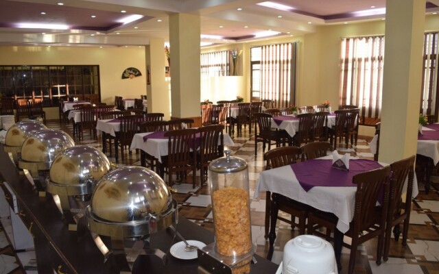 Hotel D'Zojila - Kargil