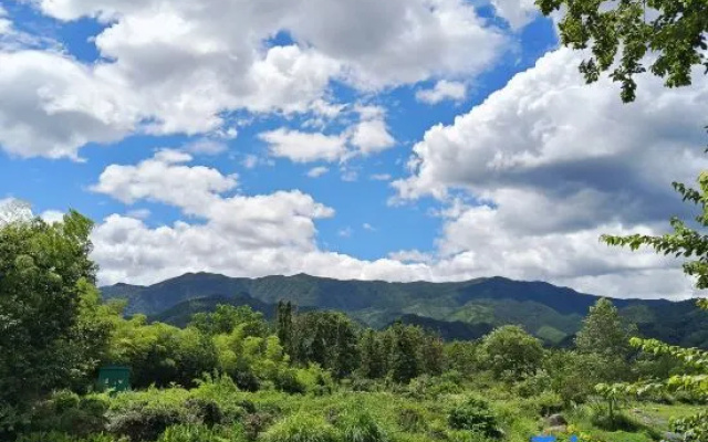 Weizha Mountain Xunxi Homestay.Monet Garden Designer Holiday Homestay – Outside – Huangshan