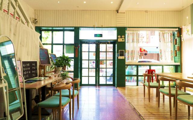 meeting the cats hostel