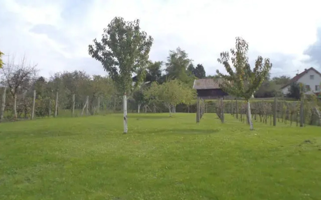 Country House Pod dudom Aljmaš