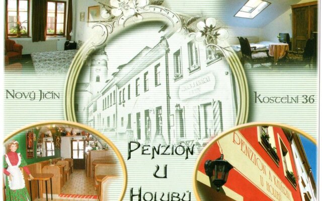 Penzion U Holubů Nový Jičín