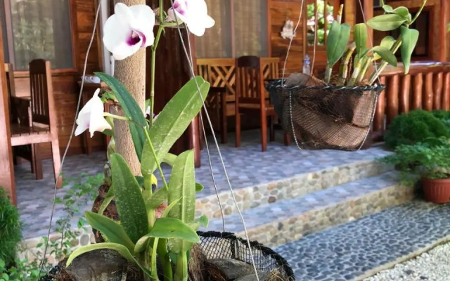 Theresa's Pension House