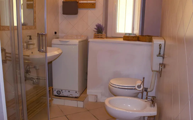 Zanardelli Bright Flat