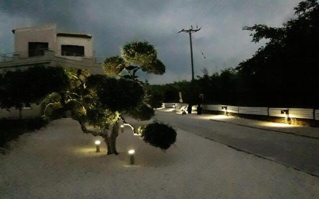 3 Olive Trees