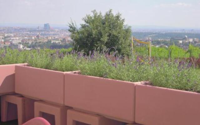 Palace Hostel - Schlossherberge