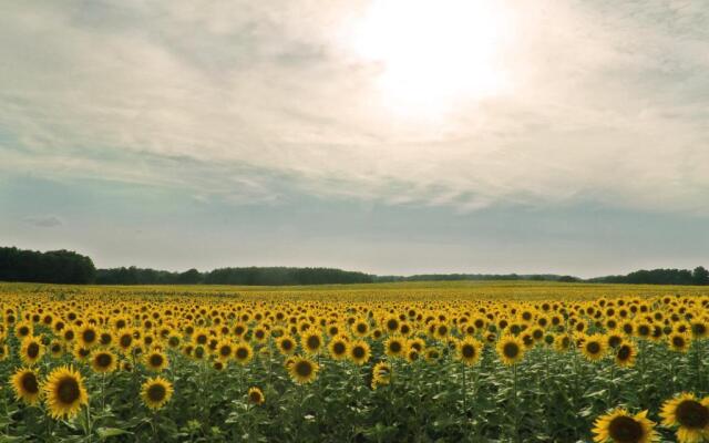 Van der Valk Golfhotel Serrahn