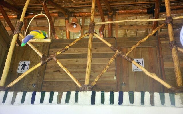 Hostel La Ballena Backpacker