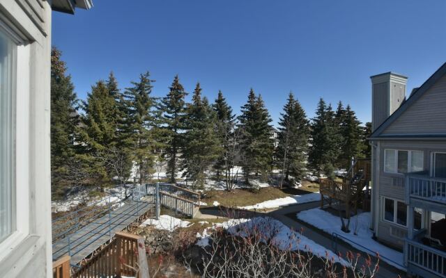 Mountain Springs Resort