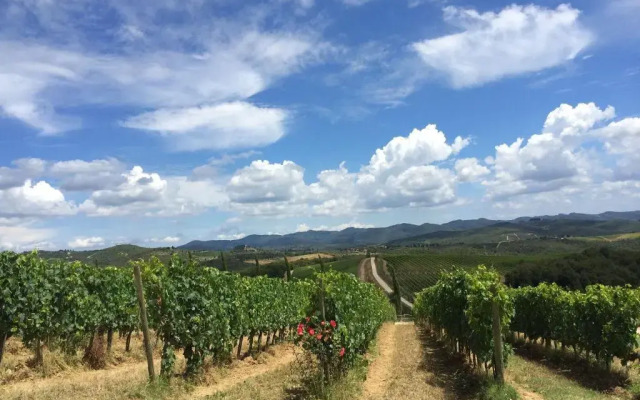 Dievole Wine Resort