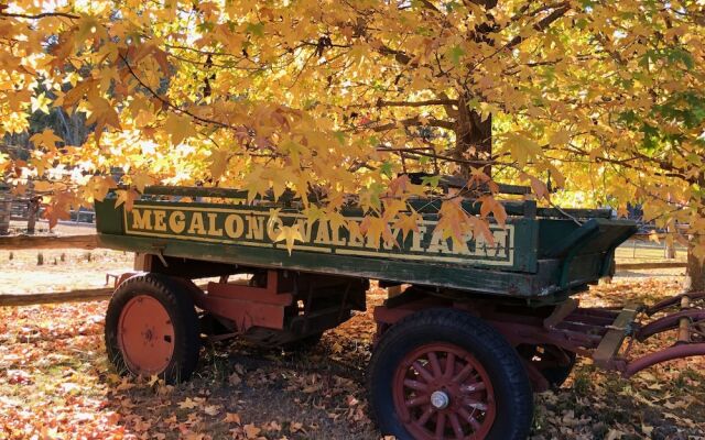Wild In Style for Glamping
