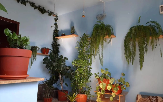 Casa Laura