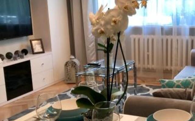 Apartament Karmelicka 11